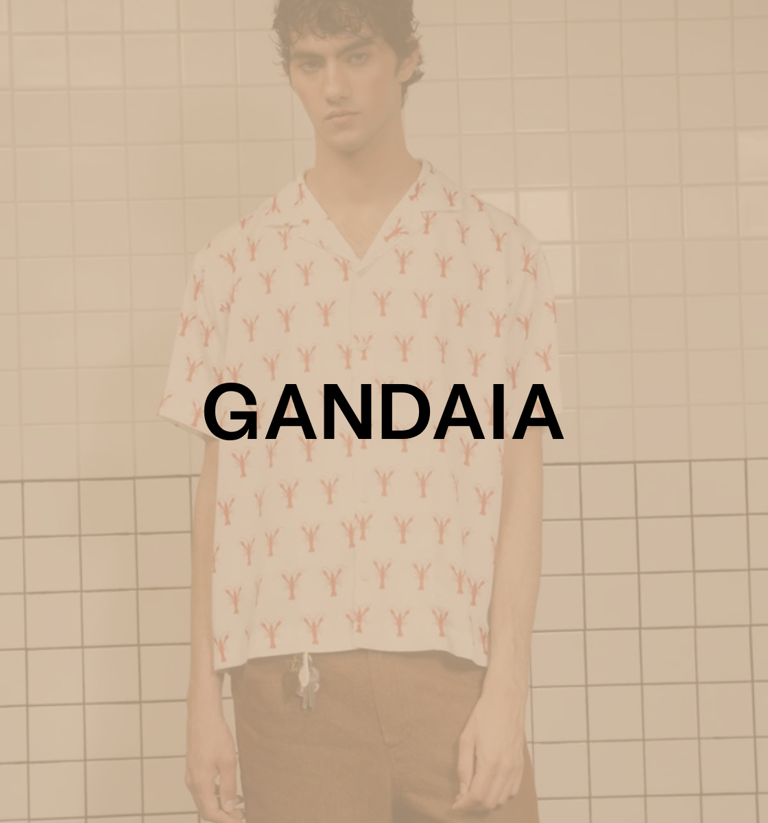 Gandaia