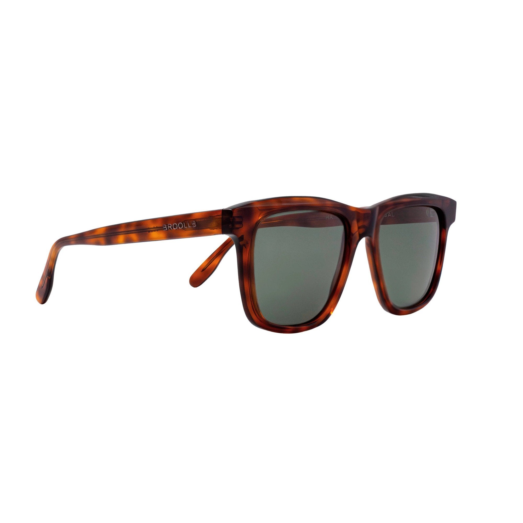 PEGASUS Tortoise Sunglasses - Broolls