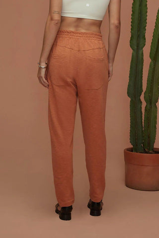 Noah Cotton Carrot Trousers - Yogini