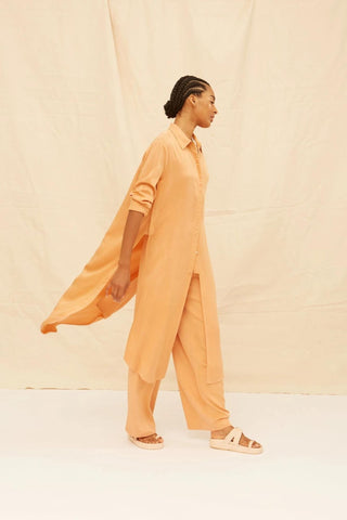 Tina Modal Chemise - Flavia Aranha