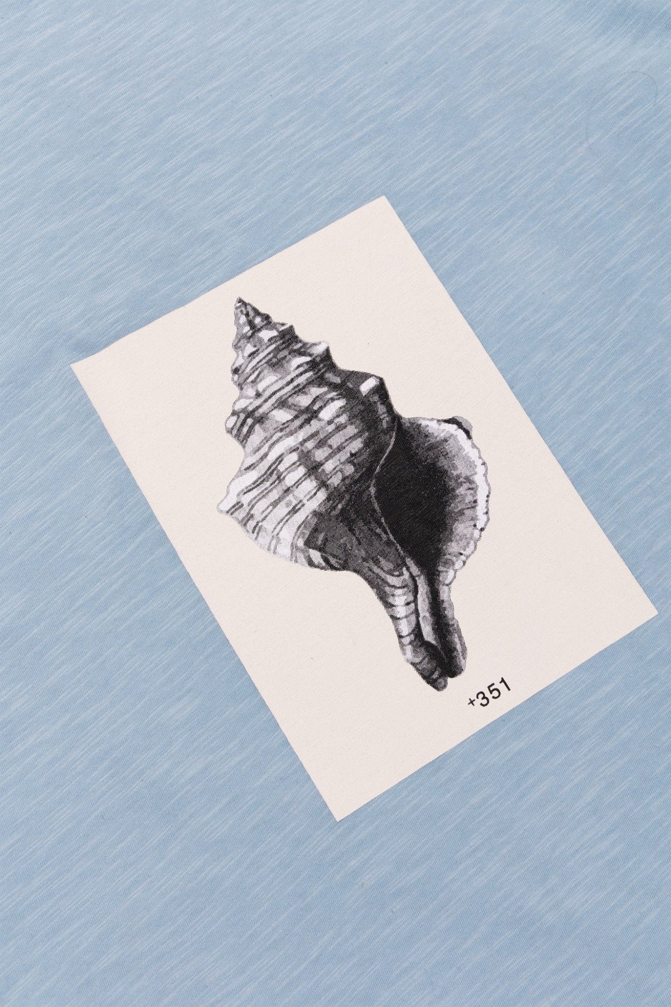 Seashell Graphic Unisex T-Shirt - +351