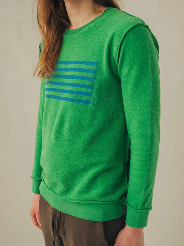 Sweatshirt Graphic Frequency Inside Out Turtle Green & Steel Blue - +351