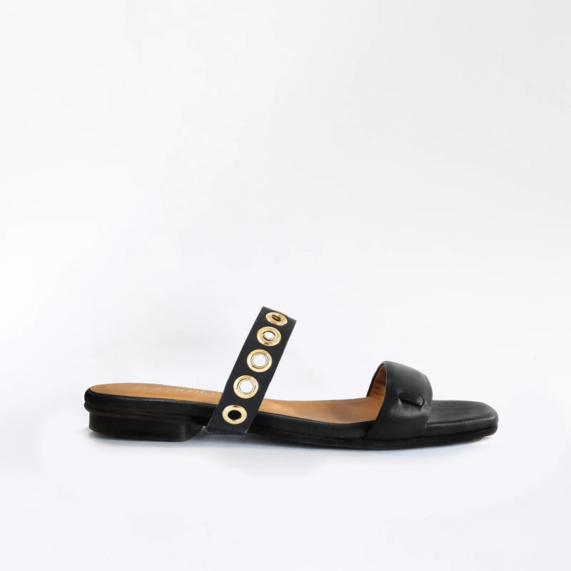 Black Ilhos - Camia