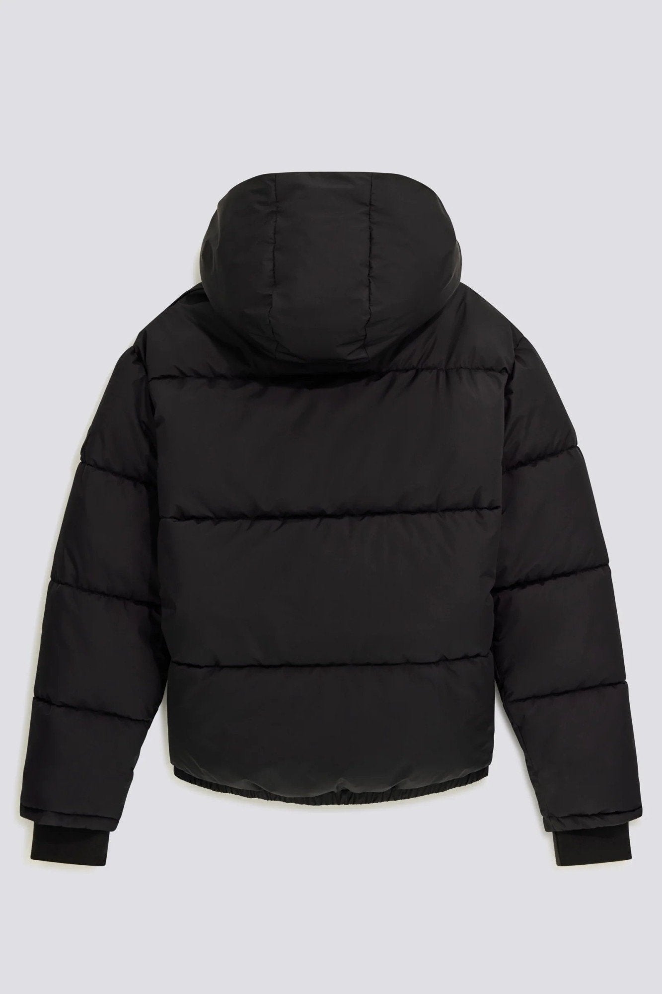 Cavir Jacket
