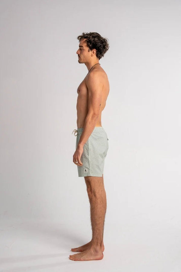 Flaws - DCK Boardshorts
