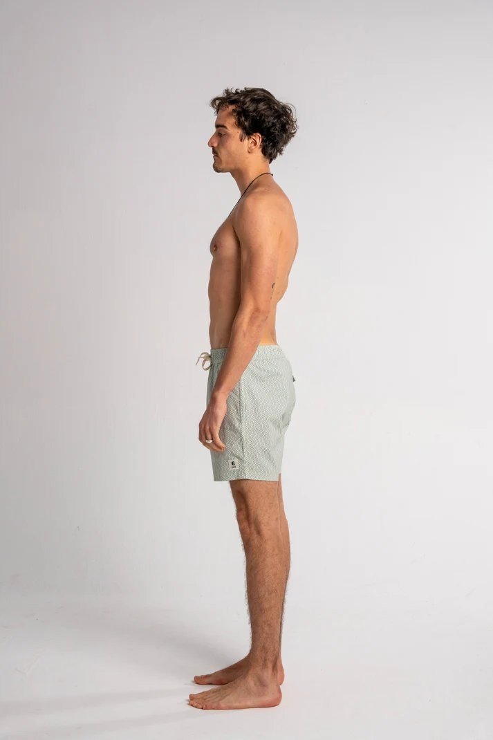 Flaws - DCK Boardshorts