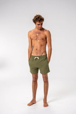 Jurassic Boardshorts