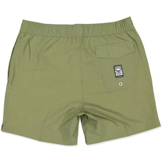Jurassic Boardshorts