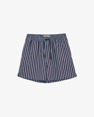 Blue & Brown Striped Swim Shorts