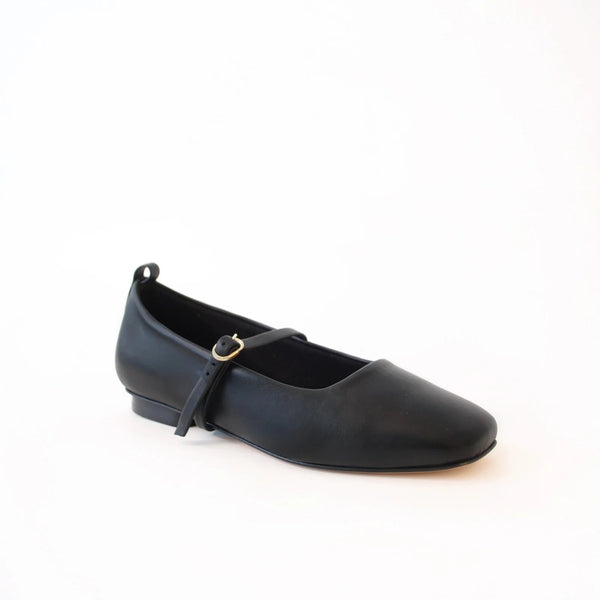 Ballet Swap - Camia