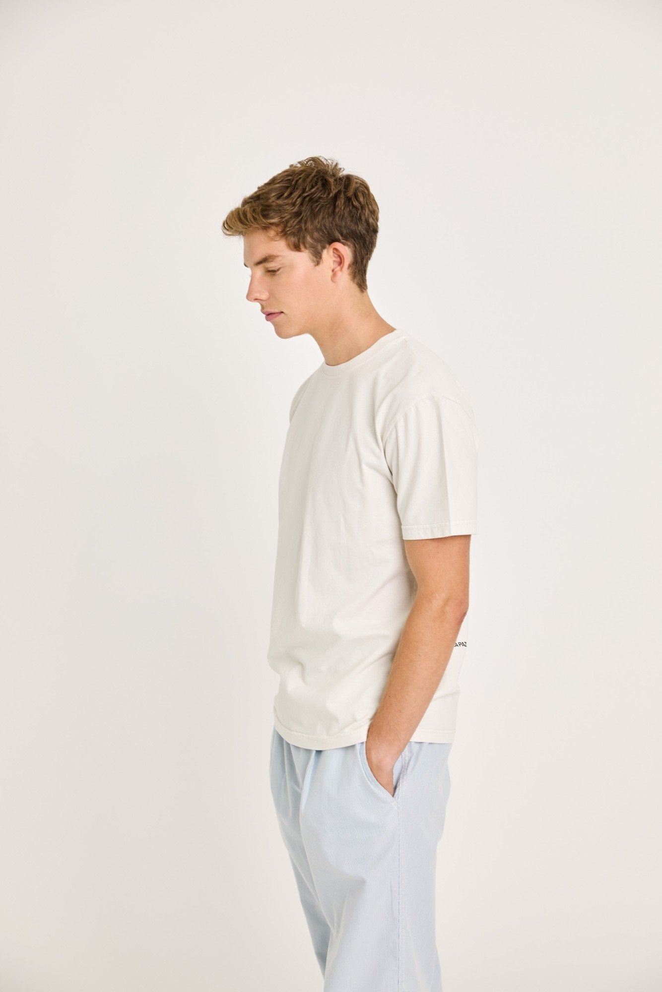 Botelho Swallow Postcard T-shirt - LA PAZ