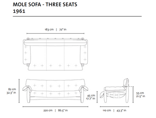 Mole sofa - 1956 . Sergio Rodrigues