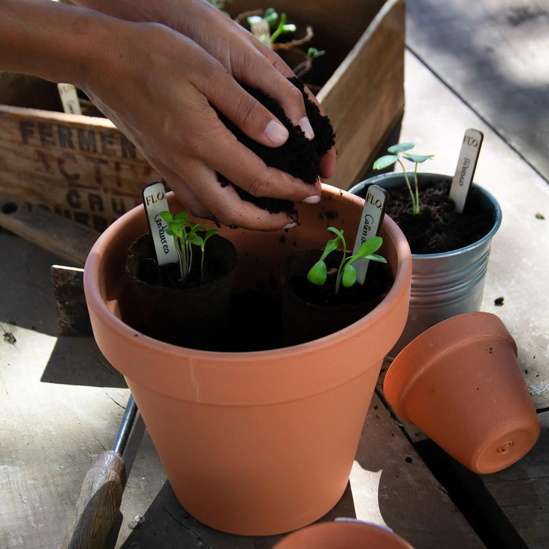 Growing Box - FLO.